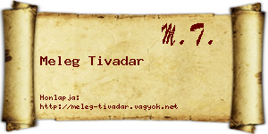 Meleg Tivadar névjegykártya